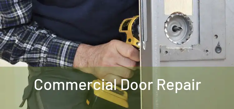 Commercial Door Repair